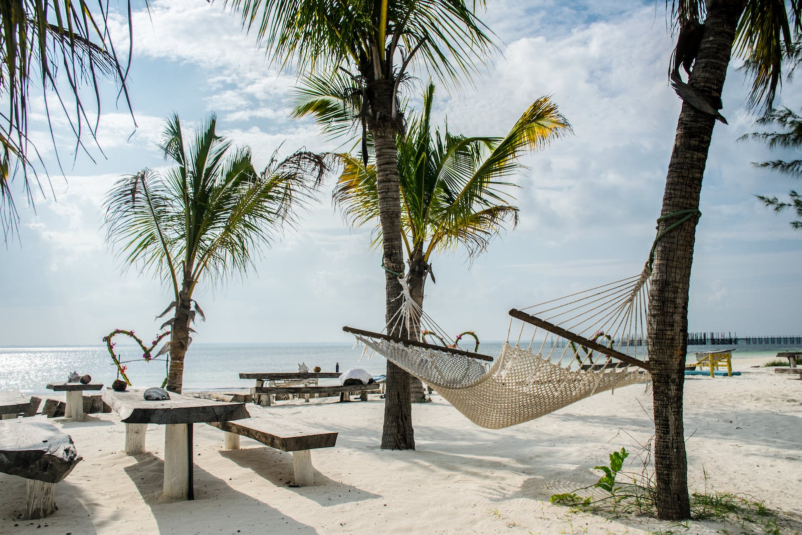 Beach & Holiday